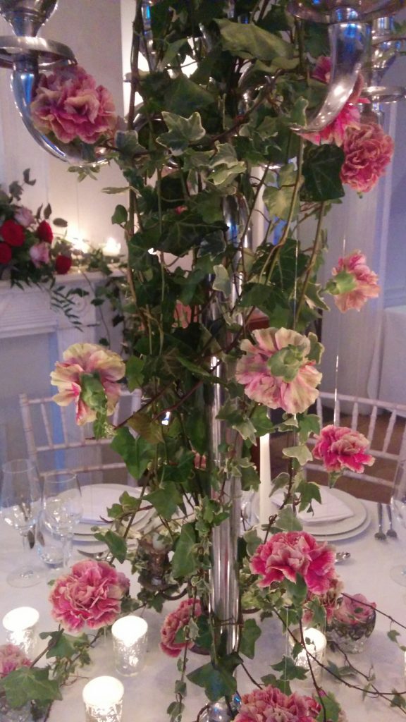 Hanging antique pink carnations