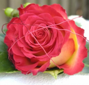 rose_wire_buttonhole