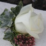 buttonhole with ivy